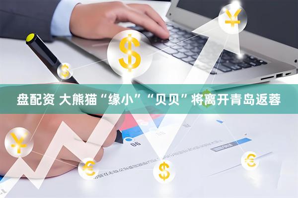 盘配资 大熊猫“缘小”“贝贝”将离开青岛返蓉