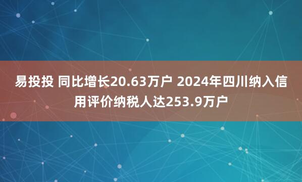 易投投 同比增长20.63万户 2024年四川纳入信用评价纳税人达253.9万户