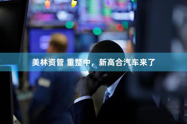 美林资管 重整中，新高合汽车来了