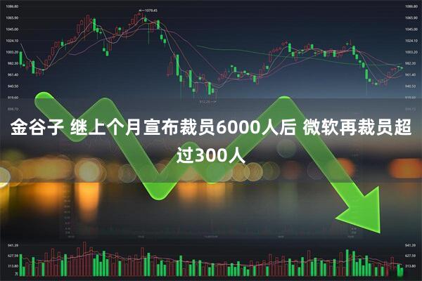 金谷子 继上个月宣布裁员6000人后 微软再裁员超过300人