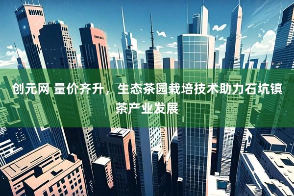 创元网 量价齐升，生态茶园栽培技术助力石坑镇茶产业发展