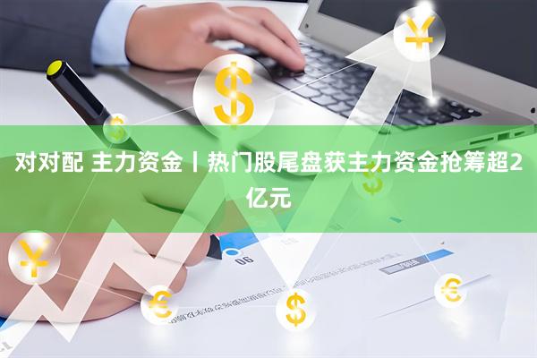对对配 主力资金丨热门股尾盘获主力资金抢筹超2亿元