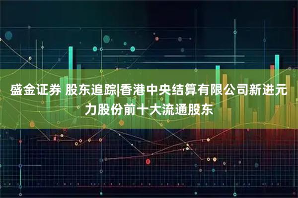 盛金证券 股东追踪|香港中央结算有限公司新进元力股份前十大流通股东
