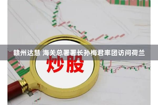 赣州达慧 海关总署署长孙梅君率团访问荷兰