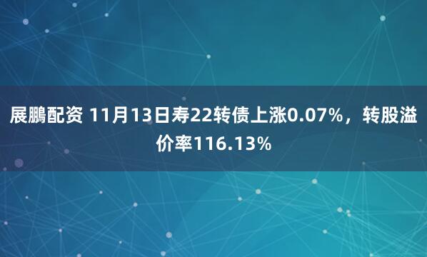 展鵬配资 11月13日寿22转债上涨0.07%，转股溢价率116.13%