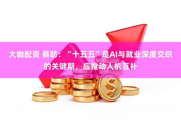大咖配资 蔡昉:“十五五”是AI与就业深度交织的关键期,应推动人机互补